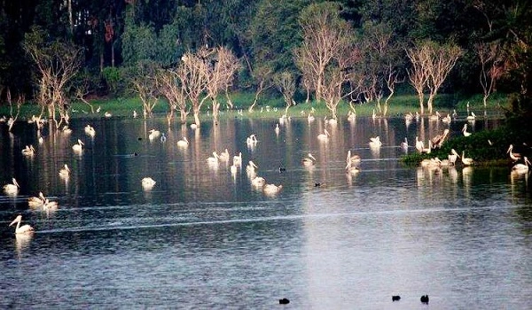 Kaikondrahalli Lake
