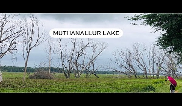 Muthanallur Lake